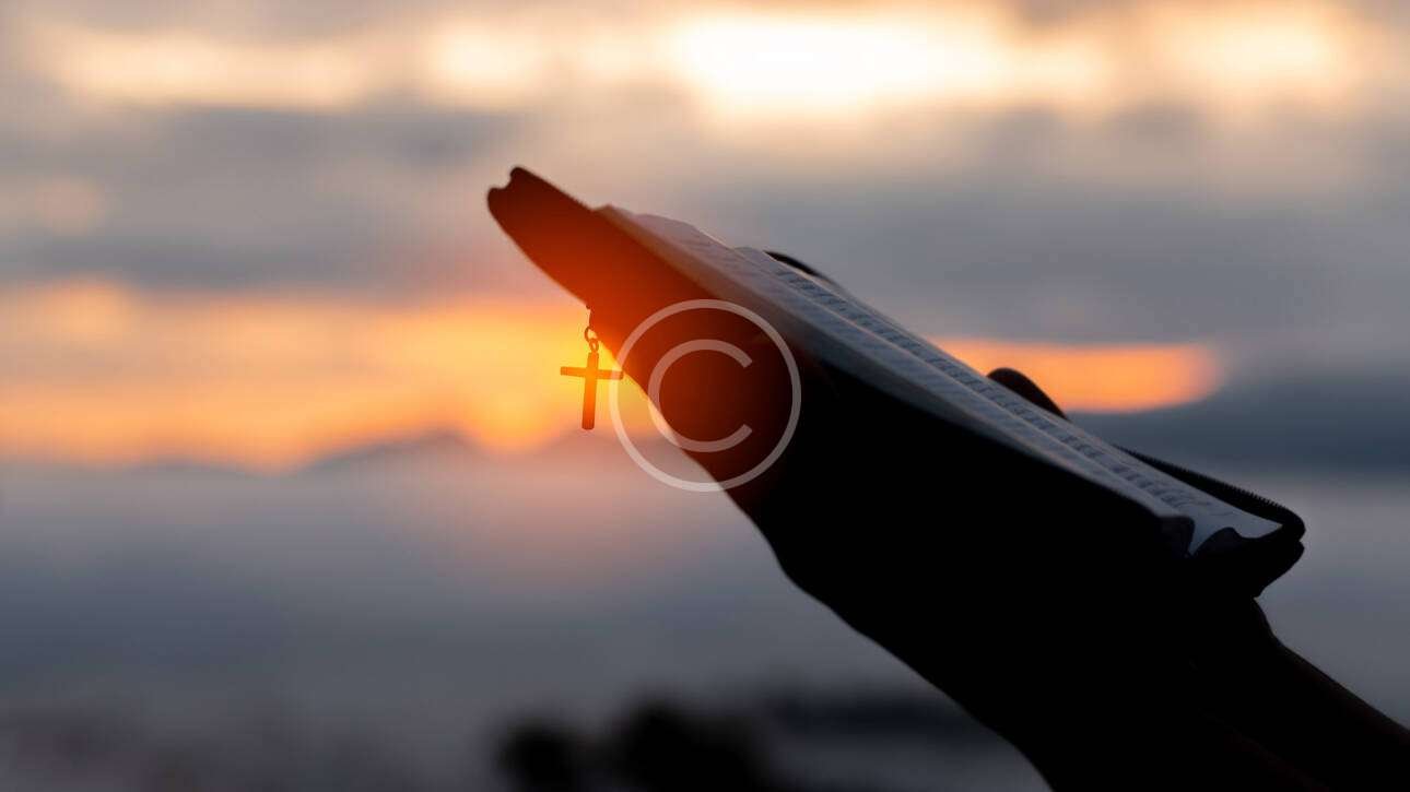 Image Copyright 20 1290x725