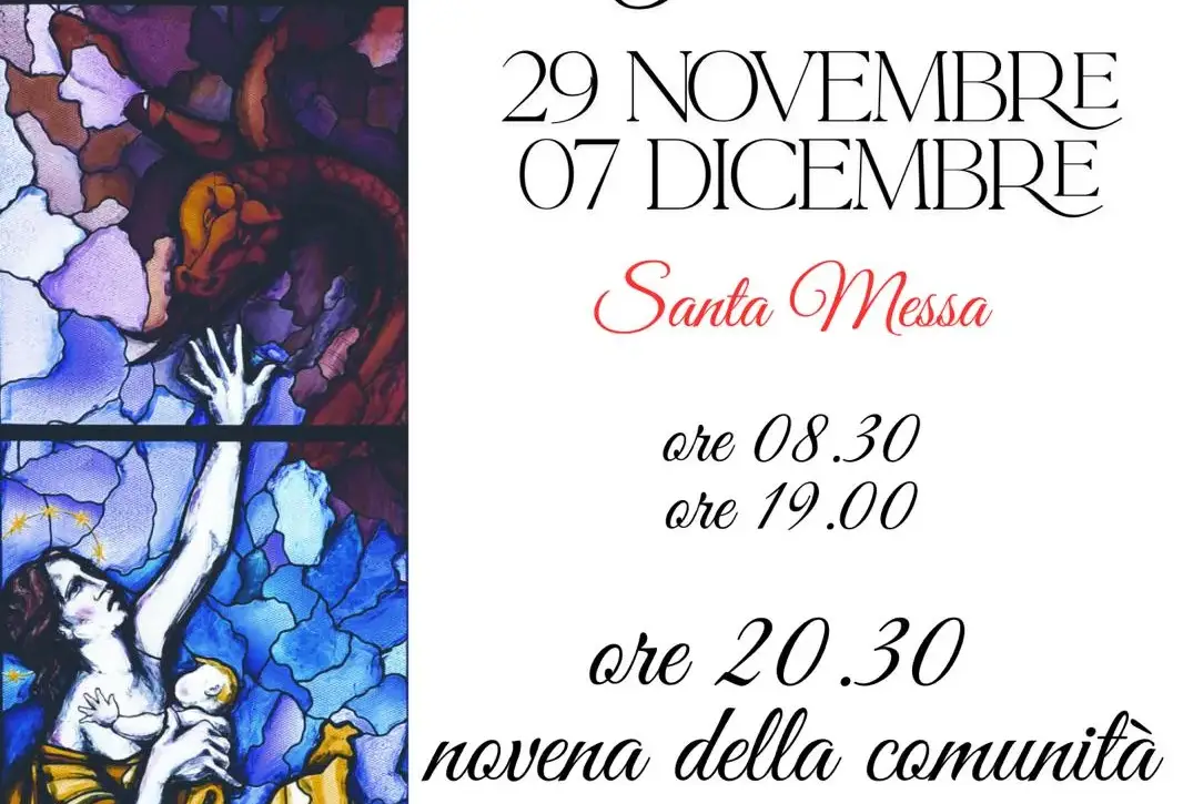 whatsapp image 2025 11 26 at 17.33.36