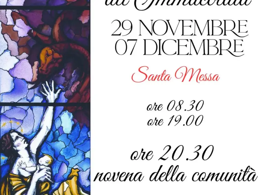 whatsapp image 2025 11 26 at 17.33.36