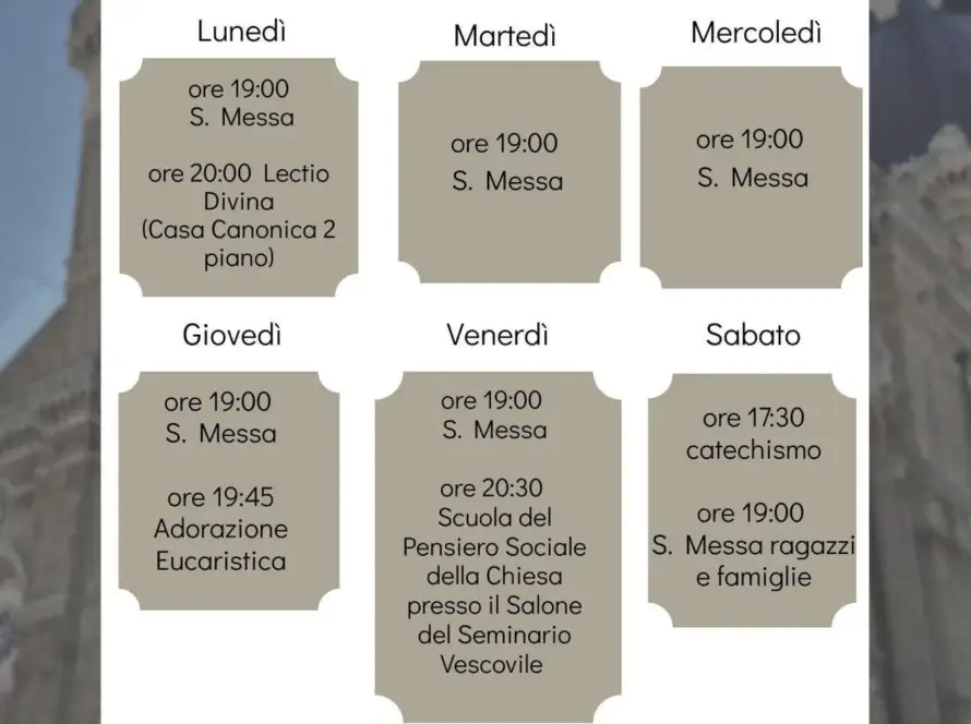 whatsapp image 2026 01 26 at 12.33.09 (1)