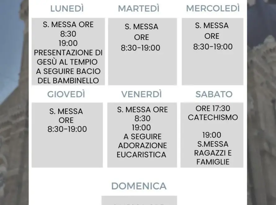 whatsapp image 2026 02 02 at 13.20.10